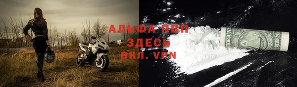 стаф Горнозаводск