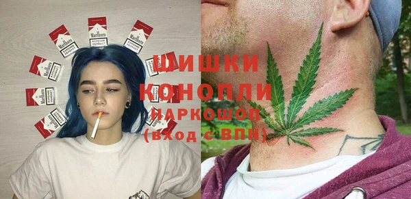 стаф Горнозаводск