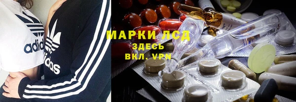 стаф Горнозаводск